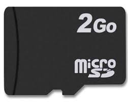 Carte Memoire M2Go Noir