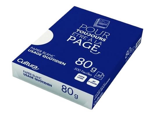 Carton de ramettes de papier A4 blanc 80g excellent copy (x5)