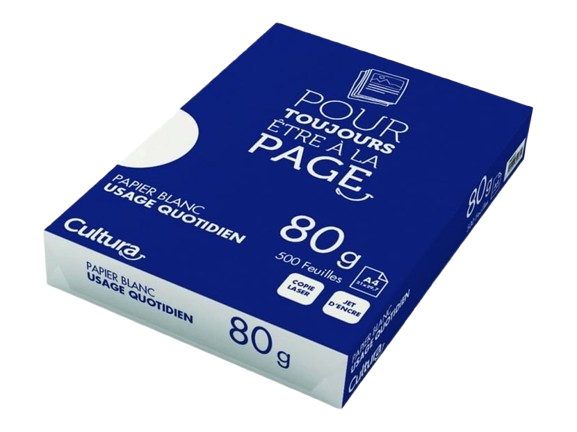 Carton de ramettes de papier A4 blanc 80g excellent copy (x5)