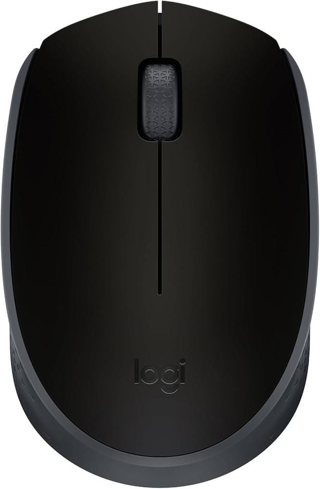 Souris Sans Fil Logitech B170 Noir
