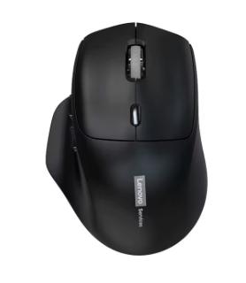 Souris sasn fil ergonomic LENOVO N230