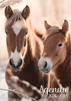 AGENDA SCOLAIRE CHEVAUX 2026-2027