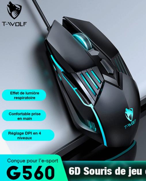 Souris Gaming filaire Rexsun G560 T-WOLF USB RGB compatible Windows et Mac