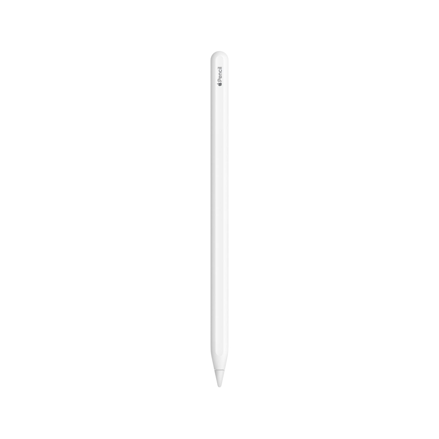 Stylet Apple Pencil (2ème Génération)