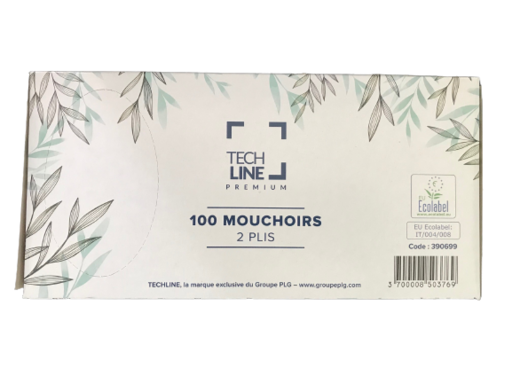 Boîte distributrice de mouchoirs 2 plis