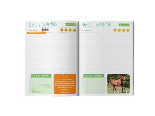 Agenda scolaire Chevaux les Editions du Belon 2025-2026