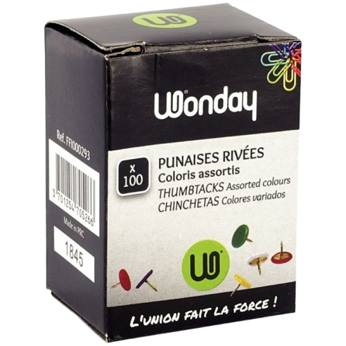 Boite de 100 punaises tête plate couleur