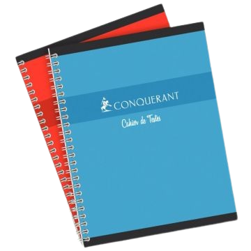 Cahier de texte 124 pages seyes pique 70g 17x22 90g