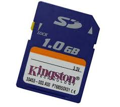 Carte memoire kingston mini SD 1Go