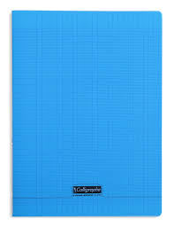 Cahier petit carreaux 24x32 polypro bleu 96p