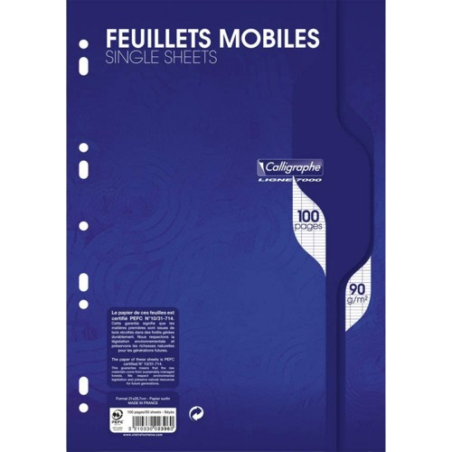 Feuilles mobiles perforées copies simple grand carreaux 100 pages 21x29.7cm