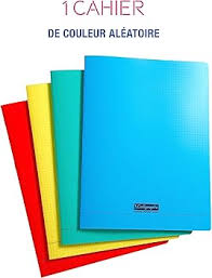 Cahier grand carreaux 24x32 calligraphe 192p 80g