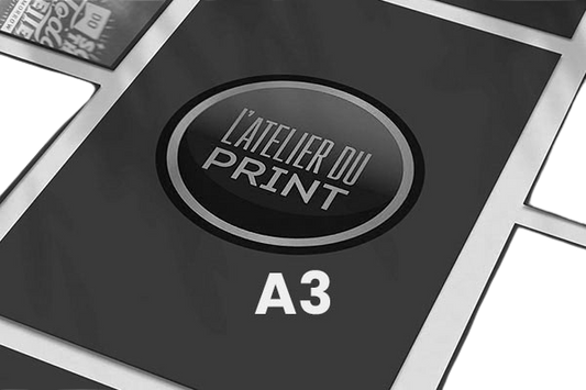 Impression A3 noir & blanc