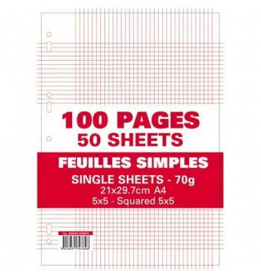 Feuilles mobiles perforées 100 pages 21x29.7cm 5X5