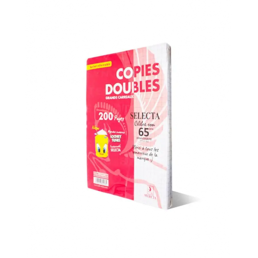 Feuille Double Selecta 17x22 Seyez 200 Pages