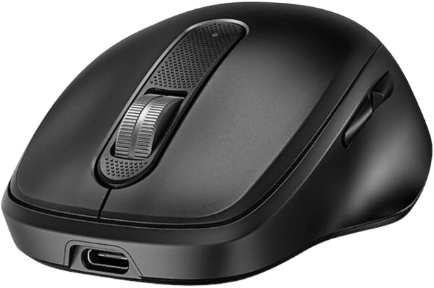 Souris sans fil LENOVO 300 Wireless Compact Mouse